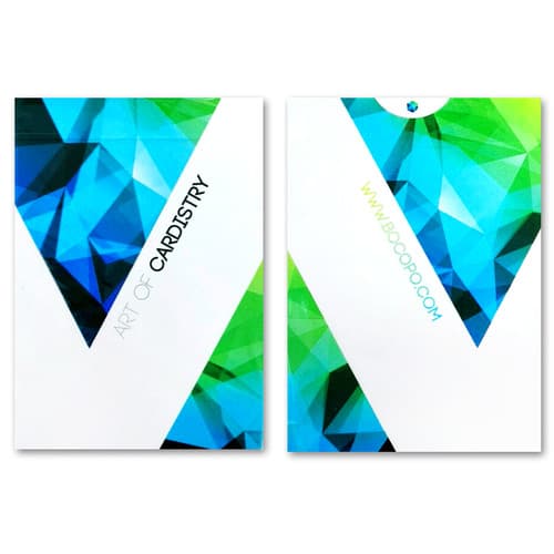 아트오브카디스트리 V1 (Art of Cardistry Limited Deck V1)