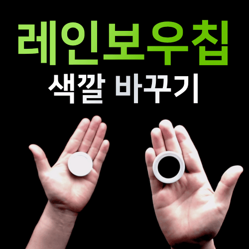 레인보우칩(2개짜리)고급형 - 색깔 바꾸기