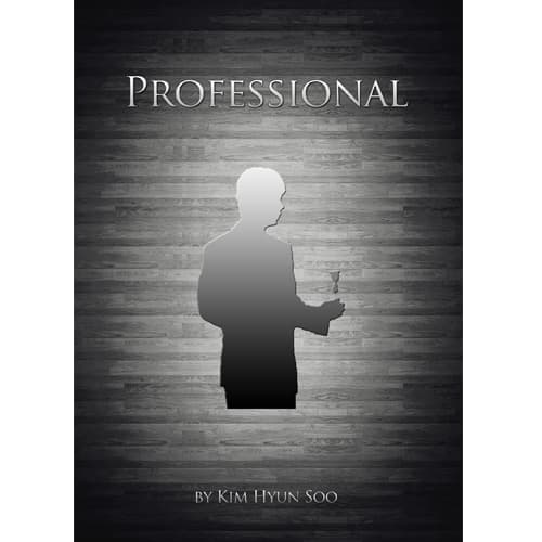 프로페셔널 (Professional By Kim Hyun Soo)