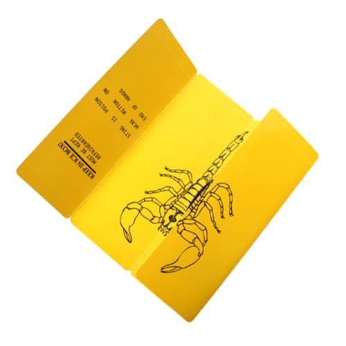 스콜피온 (SCORPION)