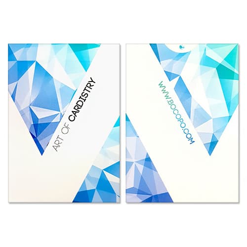 아트오브카디스트리 V3 (Art of Cardistry Limited Deck V3)